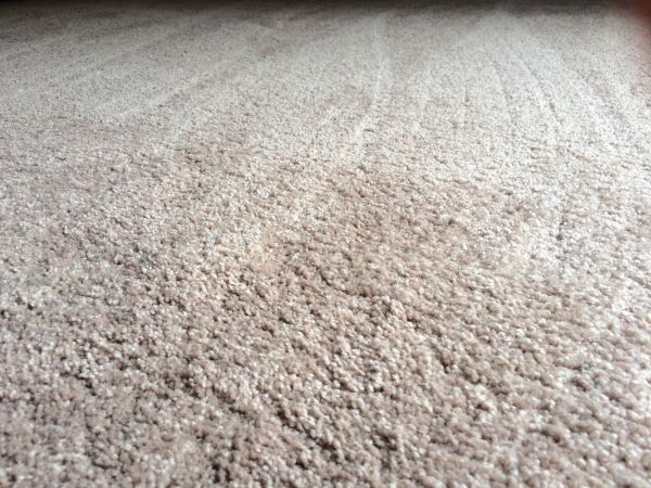 Plush Carpet Installation in Navarre