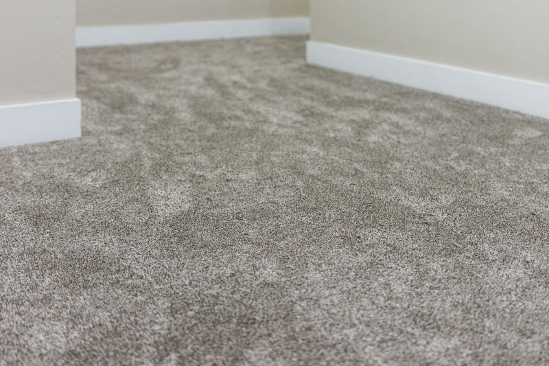 Post-Construction Carpet Cleaning